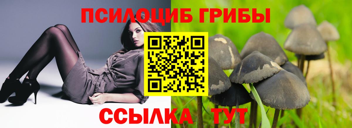 Галлюциногенные грибы мухоморы Фрязино